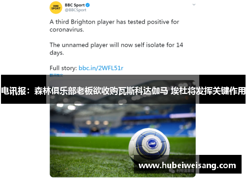 电讯报：森林俱乐部老板欲收购瓦斯科达伽马 埃杜将发挥关键作用