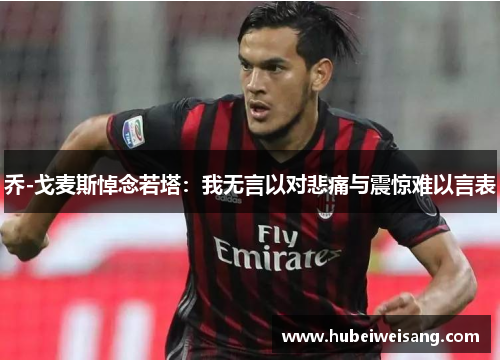乔-戈麦斯悼念若塔：我无言以对悲痛与震惊难以言表
