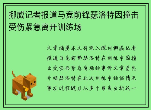 挪威记者报道马竞前锋瑟洛特因撞击受伤紧急离开训练场