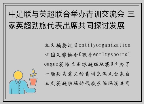 中足联与英超联合举办青训交流会 三家英超劲旅代表出席共同探讨发展